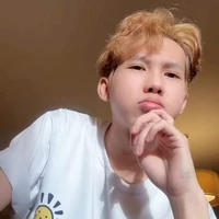 Hữu Đạt ( phoenix )