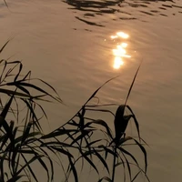 Gia đình Takemichi