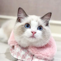 @pnvt_