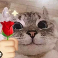 t/g siuuuuu độc ác 😈