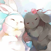 Thỏ