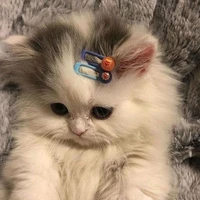 Coan T/g nèk:3
