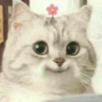 Tg muốn điểm cao =)