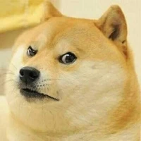 Con tó dễ thương:))