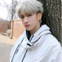 Ngụy Triết Minh- fox