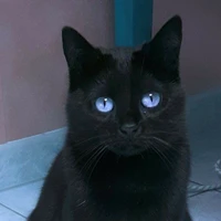 Horu