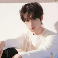 Đinh Trình Hâm