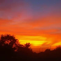 nam sinh Home schools