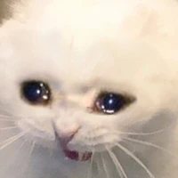 Tác giả xinh gái