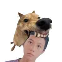 tvy đây nề