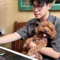 Nguyễn Bảo Hoàng-Bảo Hoàng