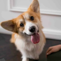 Lu