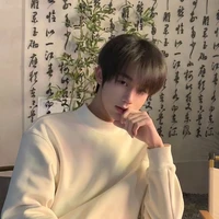 Son ha jin