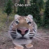 khứa nào đó
