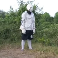 alpha sans