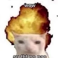 tác giả đặc cầu