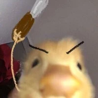 tác giả đập chai đây🫰🏻💕