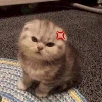 tg