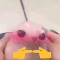 cả lớp 10e