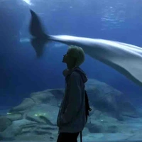 Anh Minh Thiên Bình | thiee.bfnh 