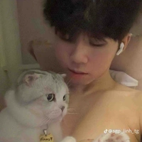 (SGP Phoenix) Đạt lỏ