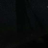 nvp
