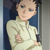 Shikadai 