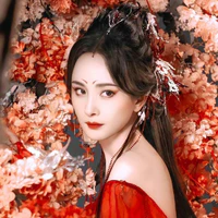 Đồ Sơn Hồng Hồng [ Đại Đương Gia ]