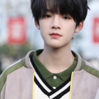 WangJunXi