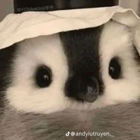 Nhân vật phụ [cả nam lẫn nữ]