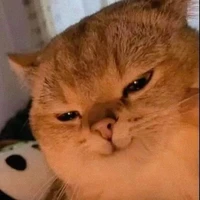 [Người ấy là ai ài ai ái]