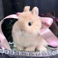 𝕎𝕒𝕟𝕥𝕒𝕤𝕙𝕚 ℕ𝕒𝕜𝕠𝕞𝕚 [𝕥𝕒́𝕔 𝕘