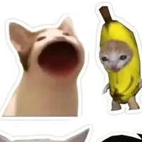 Anh em nhà Kozume