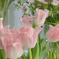 tg tập viết truyện