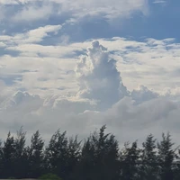 nhỏ tác giả