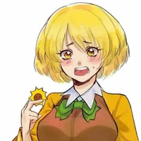 Seno