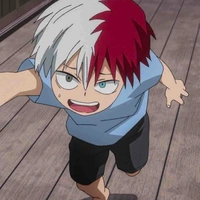 Shoto Todoroki
