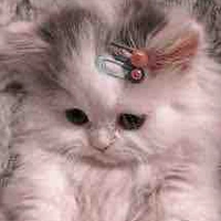 Hệ Thống (t/g tà răm)