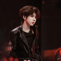 Trần Dịch Hằng