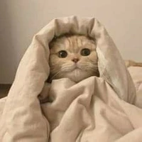 con t/g bị lười é😁