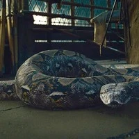 Nagini