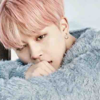 Park Jimin ( Y )