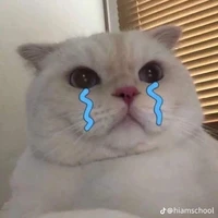 Dì 1