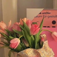 Fan Gin Tuấn Kiệt