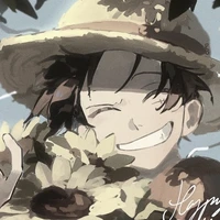 Monkey D. Luffy ( quá khứ )