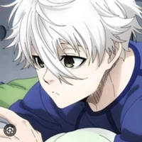 Nagi Shishiro