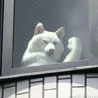 kem ( mỏ hỗn nhất team )