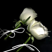 NVP nữ