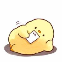 Chip (t/g)