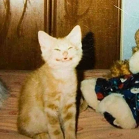 Mn trừ ai thì kbt:)